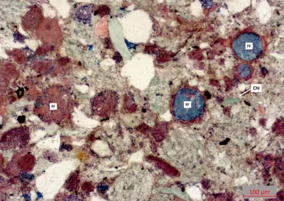 Thin Section Micrograph