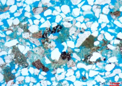 Thin Section Micrograph